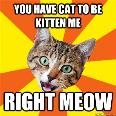 You have cat to be kitten me right meow  Bad Advice Cat