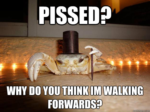 Pissed? Why do you think I´m walking forwards?  Fancy Crab