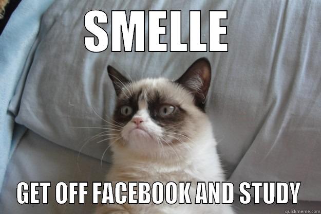 SMELLE GET OFF FACEBOOK AND STUDY Grumpy Cat