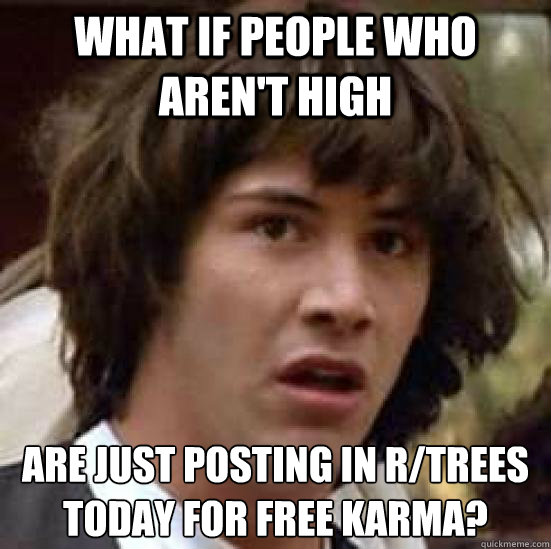 what if people who aren't high are just posting in r/trees today for free karma? - what if people who aren't high are just posting in r/trees today for free karma?  conspiracy keanu