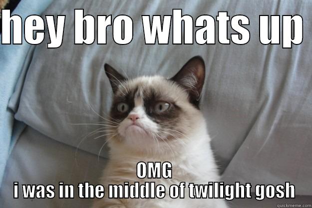 grumpy cat freak - HEY BRO WHATS UP  OMG I WAS IN THE MIDDLE OF TWILIGHT GOSH Grumpy Cat