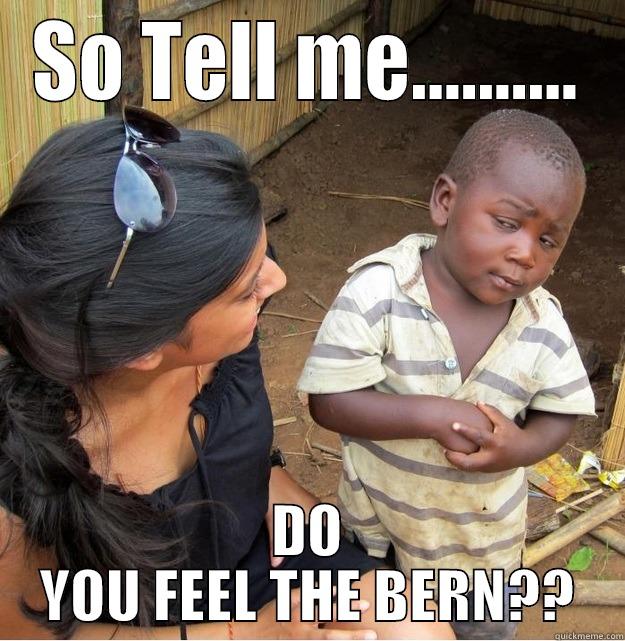 SO TELL ME.......... DO YOU FEEL THE BERN?? Skeptical Third World Kid