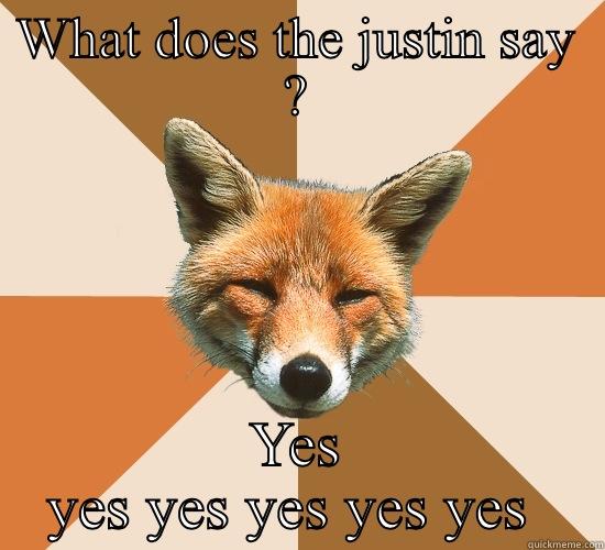 WHAT DOES THE JUSTIN SAY ? YES YES YES YES YES YES  Condescending Fox