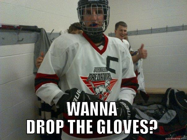  WANNA DROP THE GLOVES? Misc