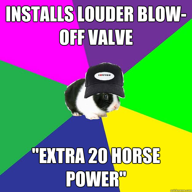 Installs Louder blow-off valve 