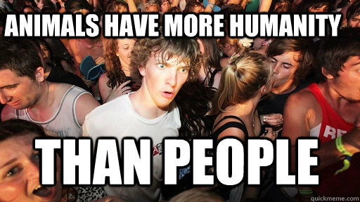 Animals Have MORE HUMANITY THAN PEOPLE  Sudden Clarity Clarence