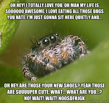 Oh hey! I totally love you. Oh man my life is soooooo awesome. I love eating all those bugs you hate. I'm just gonna sit here quietly and... Oh hey are those your new shoes? Yeah those are suuuuper cute. What... what are you...? No! Wait! Wait! NOosdfhjgk  Misunderstood Spider