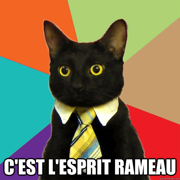  C'est l'esprit RAMEAU  Business Cat