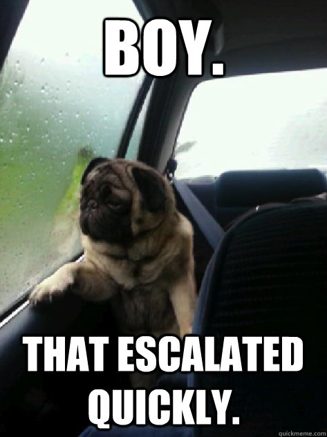 Boy. That escalated quickly.  Introspective Pug