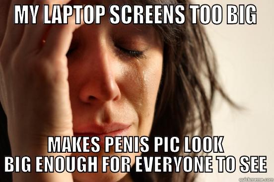 MY LAPTOP SCREENS TOO BIG MAKES PENIS PIC LOOK BIG ENOUGH FOR EVERYONE TO SEE First World Problems