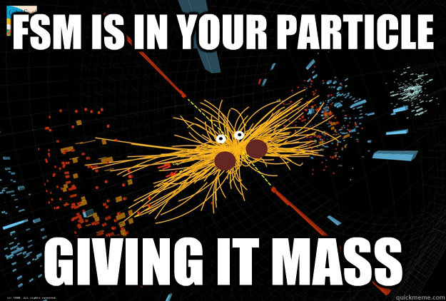 fsm is in your particle giving it mass  