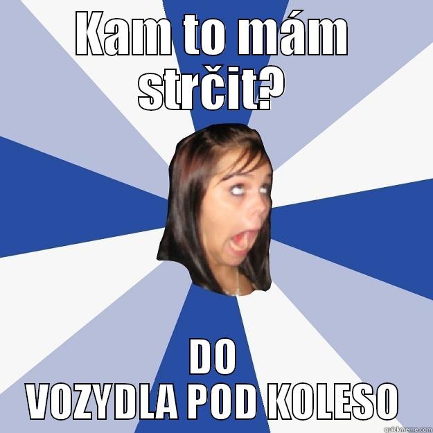 KAM TO MÁM STRČIT? DO VOZYDLA POD KOLESO Annoying Facebook Girl