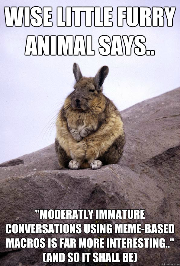 wise little furry animal says.. 