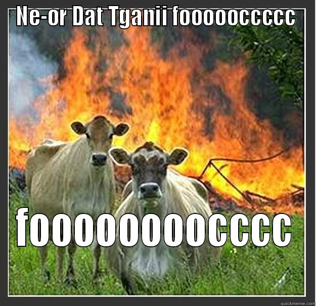 NE-OR DAT TGANII FOOOOOCCCCC FOOOOOOOOCCCC Evil cows