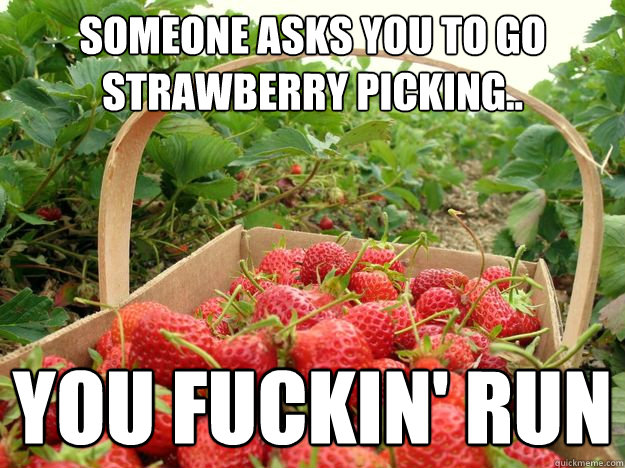 someone asks you to go Strawberry Picking.. You fuckin' run  Strawberry picking