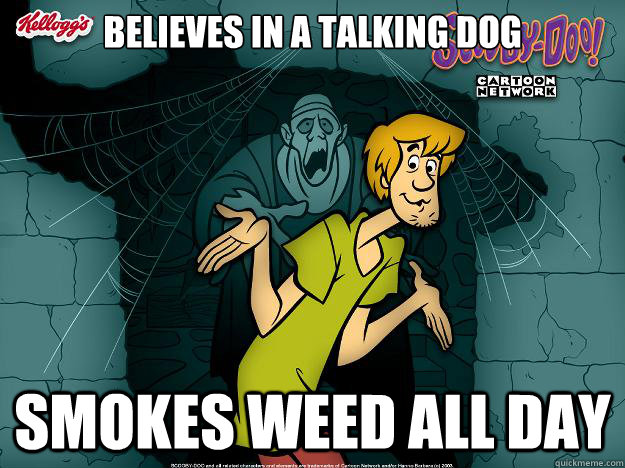 Believes in a talking dog Smokes weed all day  Irrational Shaggy