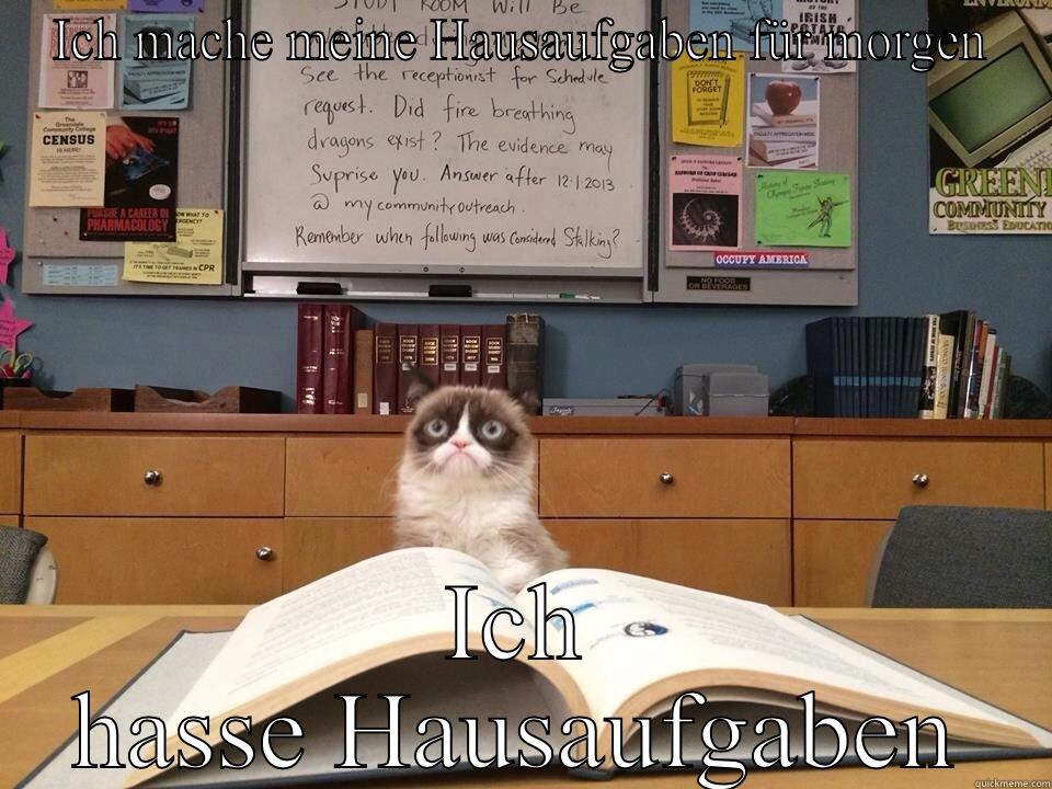 Homework kitty - ICH MACHE MEINE HAUSAUFGABEN FÜR MORGEN ICH HASSE HAUSAUFGABEN First World Problems