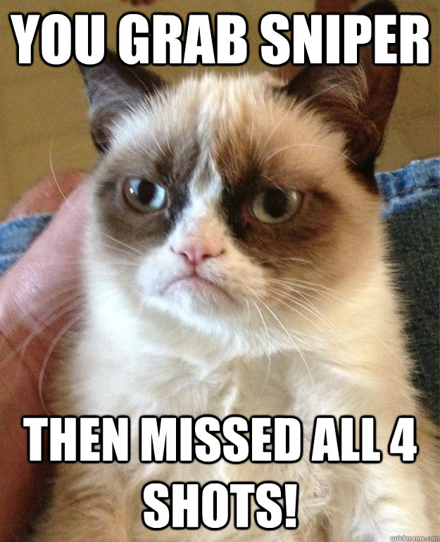 You grab sniper then missed all 4 shots!  Grumpy Cat