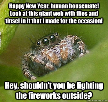 Happy New Year, human housemate!  Look at this giant web with flies and tinsel in it that I made for the occasion! Hey, shouldn't you be lighting the fireworks outside?  Misunderstood Spider