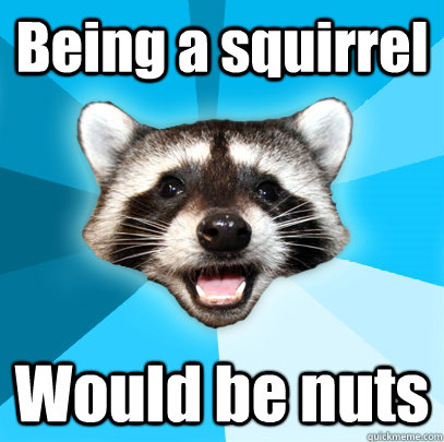 Being a squirrel Would be nuts  - Being a squirrel Would be nuts   Lame Pun Coon