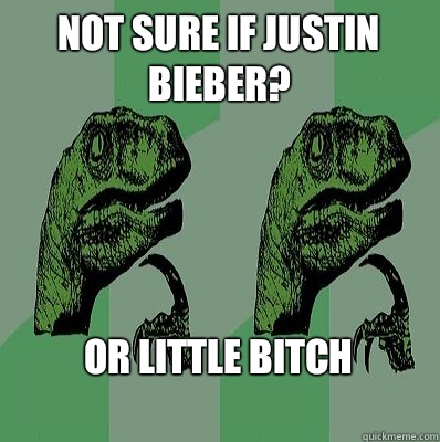 NOT SURE IF JUSTIN BIEBER? OR LITTLE BITCH
 - NOT SURE IF JUSTIN BIEBER? OR LITTLE BITCH
  Meme