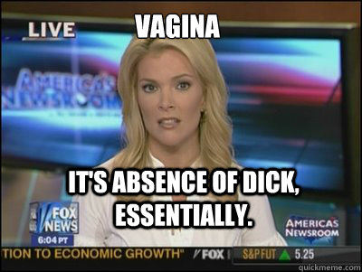 Vagina It's absence of dick, essentially.  Megyn Kelly