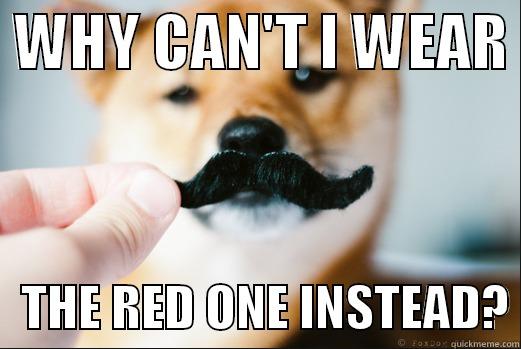 MUSTACHE DOGE -  WHY CAN'T I WEAR     THE RED ONE INSTEAD? Misc