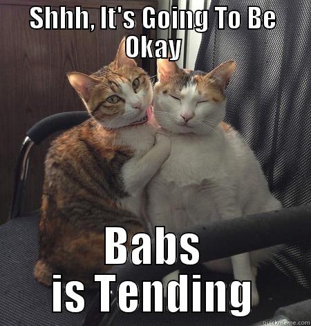 Babs Friday - SHHH, IT'S GOING TO BE OKAY BABS IS TENDING Misc