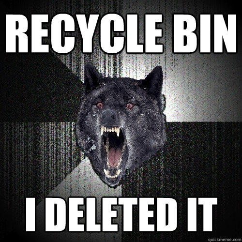 Recycle bin I deleted it  