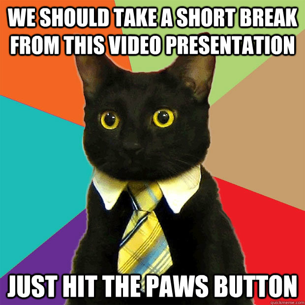 we should take a short break from this video presentation just hit the paws button  Business Cat