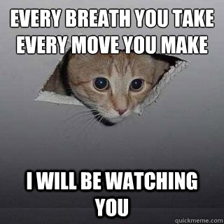 Every breath you take
Every move you make I will be watching you - Every breath you take
Every move you make I will be watching you  Ceiling Cat