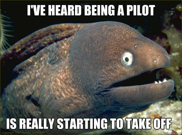 I've heard being a pilot Is really starting to take off - I've heard being a pilot Is really starting to take off  Bad Joke Eel