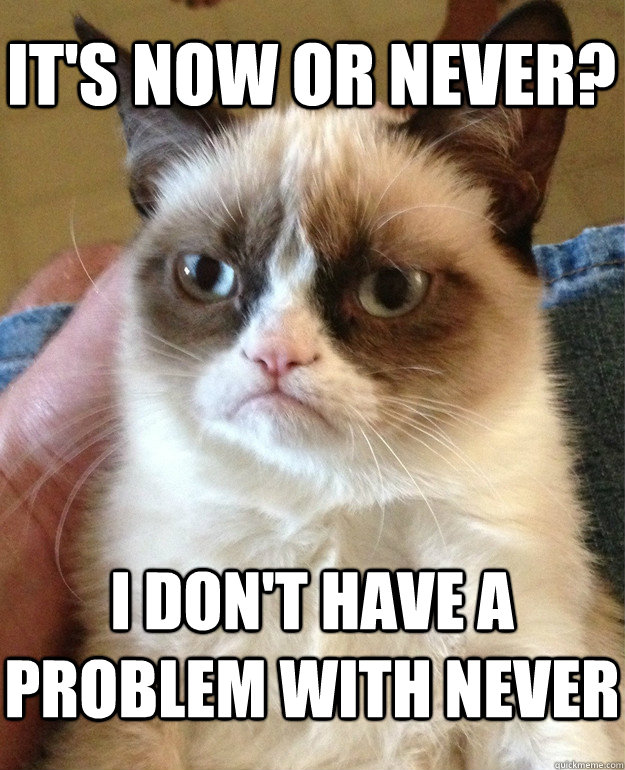 It's now or never? I don't have a problem with never  Grumpy Cat