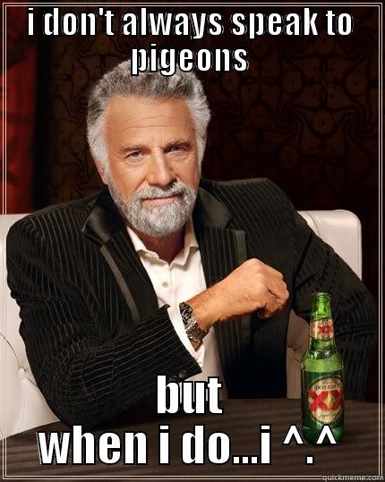 bird flirting - I DON'T ALWAYS SPEAK TO PIGEONS BUT WHEN I DO...I ^.^ The Most Interesting Man In The World