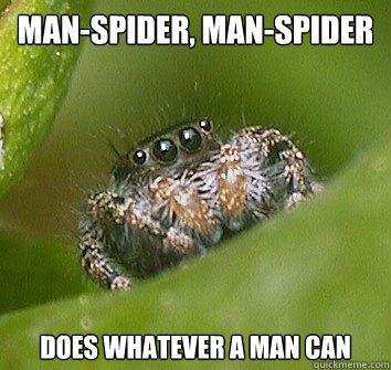 Man-Spider, man-spider does whatever a man can  Misunderstood Spider