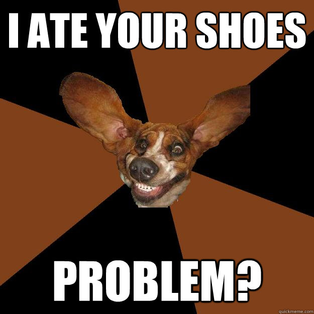 i ate your shoes problem?  