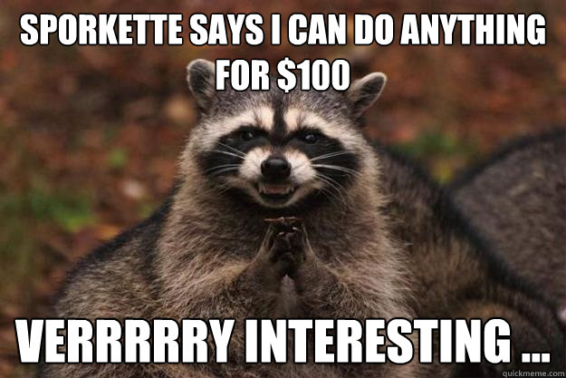 sporkette says i can do anything for $100 verrrrry interesting ...  Evil Plotting Raccoon