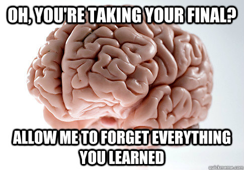 Oh, you're taking your final? Allow me to forget everything you learned  Scumbag Brain