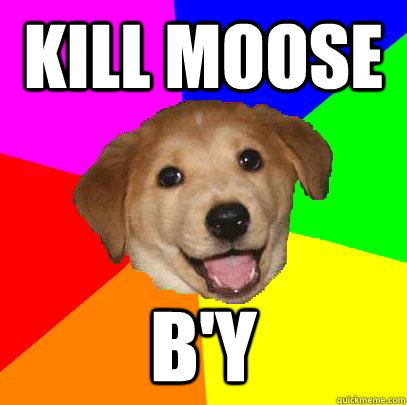 Kill Moose B'y  Advice Dog