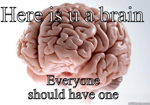 HERE IS U A BRAIN  EVERYONE SHOULD HAVE ONE Scumbag Brain