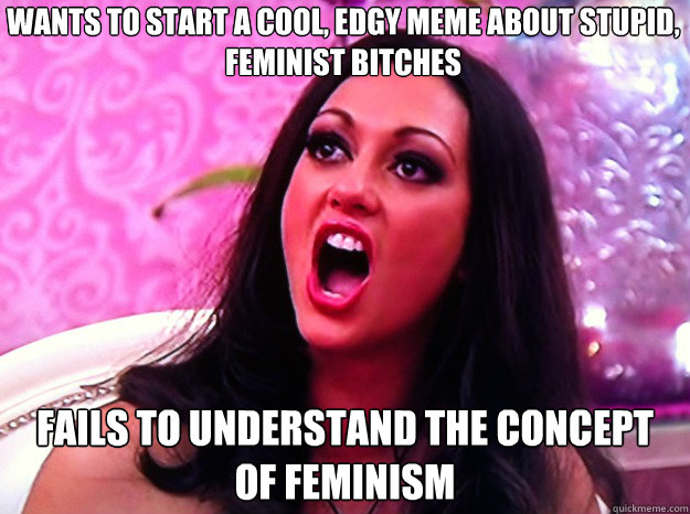 Wants to start a cool, edgy meme about stupid, feminist bitches Fails to understand the concept of feminism  Feminist Nazi