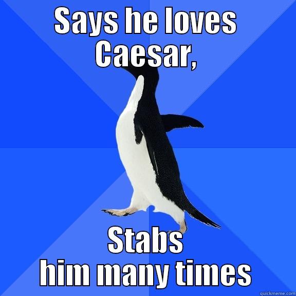 Penguin Caesar  - SAYS HE LOVES CAESAR, STABS HIM MANY TIMES Socially Awkward Penguin