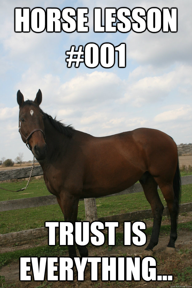 horse lesson #001 Trust is everything...  Talon meme 1