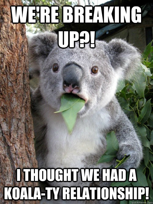 We're breaking up?! I thought we had a koala-ty relationship!  koala bear