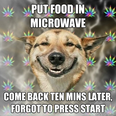 put food in microwave come back ten mins later, forgot to press start  Stoner Dog