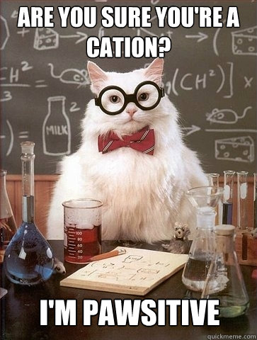 Are you sure you're a cation? I'm pawsitive - Are you sure you're a cation? I'm pawsitive  Chemistry Cat