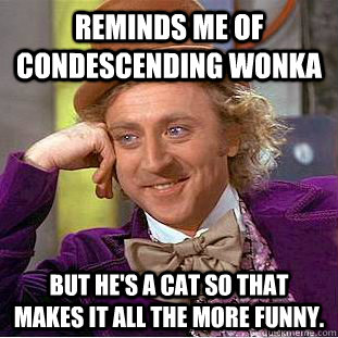 reminds me of condescending wonka but he's a cat so that makes it all the more funny.  Creepy Wonka