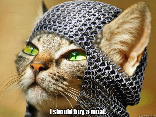  I should buy a moat. -  I should buy a moat.  Misc