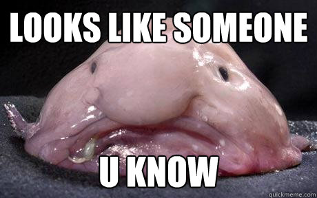 looks like someone u know  Douchebag Blobfish