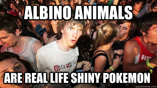 Albino animals are real life shiny pokemon - Albino animals are real life shiny pokemon  Sudden Clarity Clarence